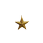 Star Glitter Gold 20cm