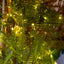 Noosa LED Palm Tree 150cm