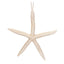Starfish Hanging 14cm