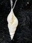 Tibia Deliculata Shell Hanging 9cm