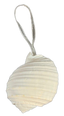 Tonna Shell White 10cm