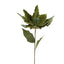 Poinsettia Stem Olive 64cm