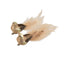 Gold Bird with Brown Feathers 18cm