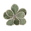 Magnolia Clip-on Sage with Rope Edges 22cm