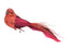 Feather Tail Bird Clip On Red 13cm