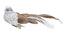 Feather Tail Bird Clip On White & Gold 13cm