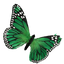 Butterfly Green 30cm